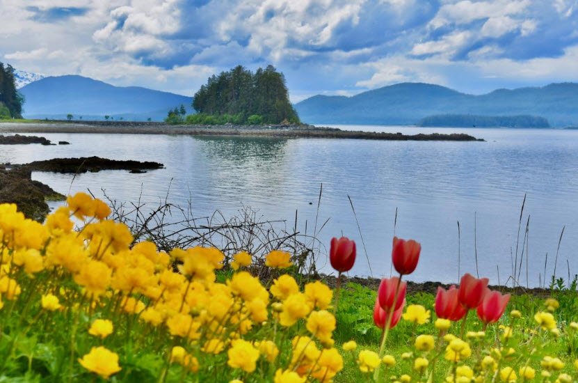 Jensen-Olson Arboretum, United States